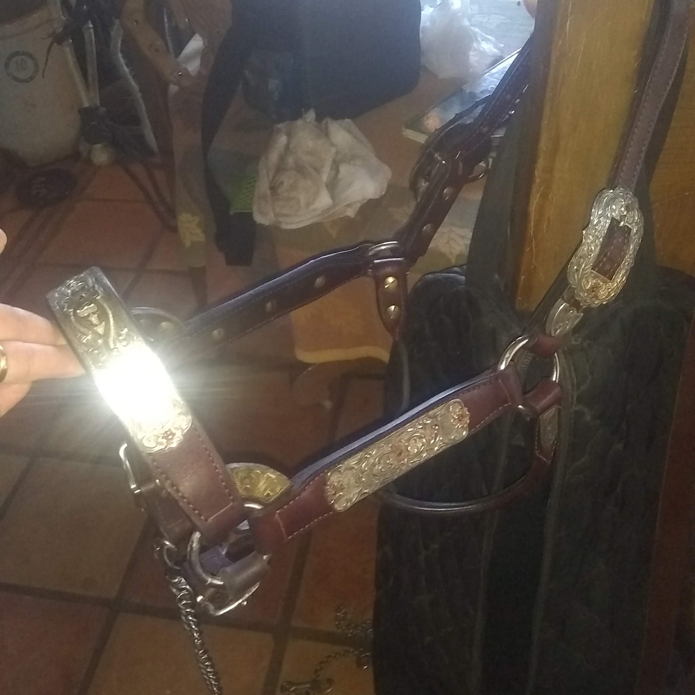 3 Leather Horse Show Halters with Silver Accents